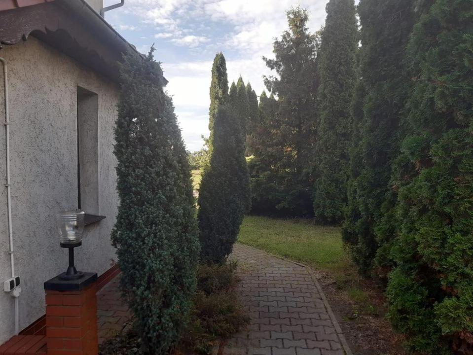 Noclegi Nowogrodziec Exteriör bild