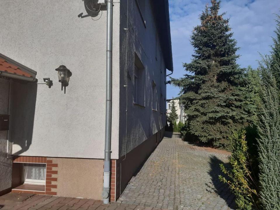 Noclegi Nowogrodziec Exteriör bild
